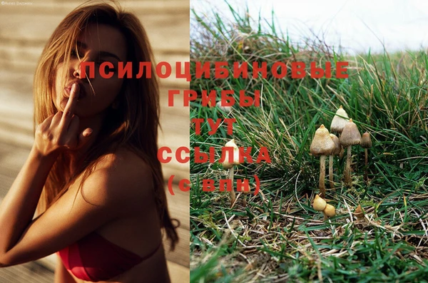 амфетамин Богданович