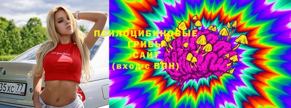 2c-b Богородск