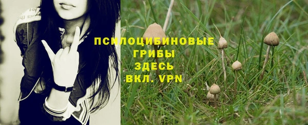 амфетамин Богданович