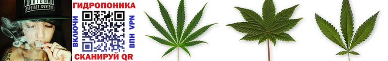 блэк спрут ТОР  Клин  Каннабис LSD WEED 